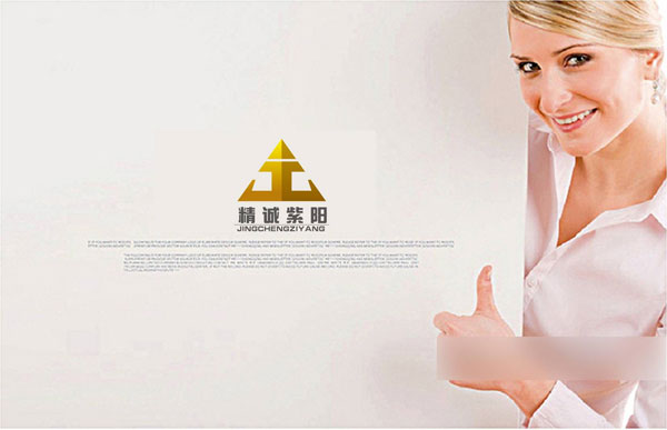 投資公司LOGO設(shè)計/