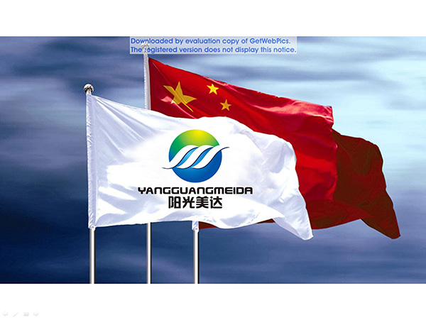 停車管理公司LOGO設計