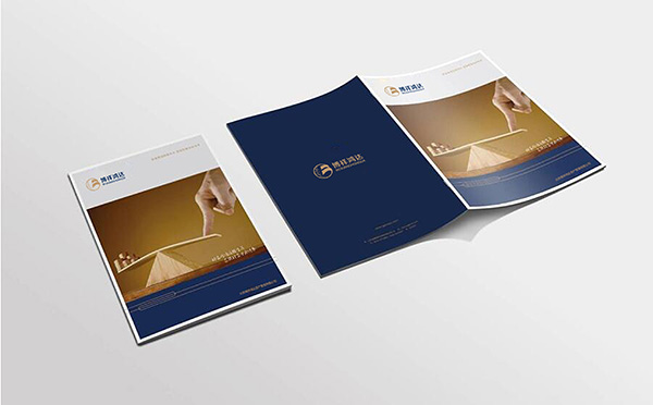 資產(chǎn)管理公司LOGO設(shè)計(jì)