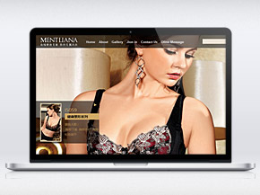 北京億達(dá)融國際服飾有限公司塑身內(nèi)衣品牌LOGO設(shè)計