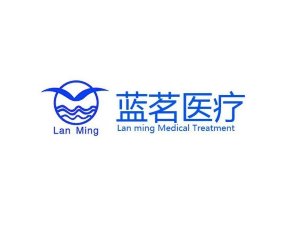 西安藍(lán)茗醫(yī)療科技有限公司LOGO設(shè)計介紹