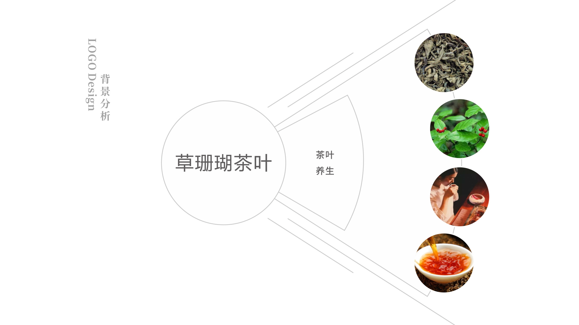 草珊瑚茶葉LOGO設(shè)計背景調(diào)研