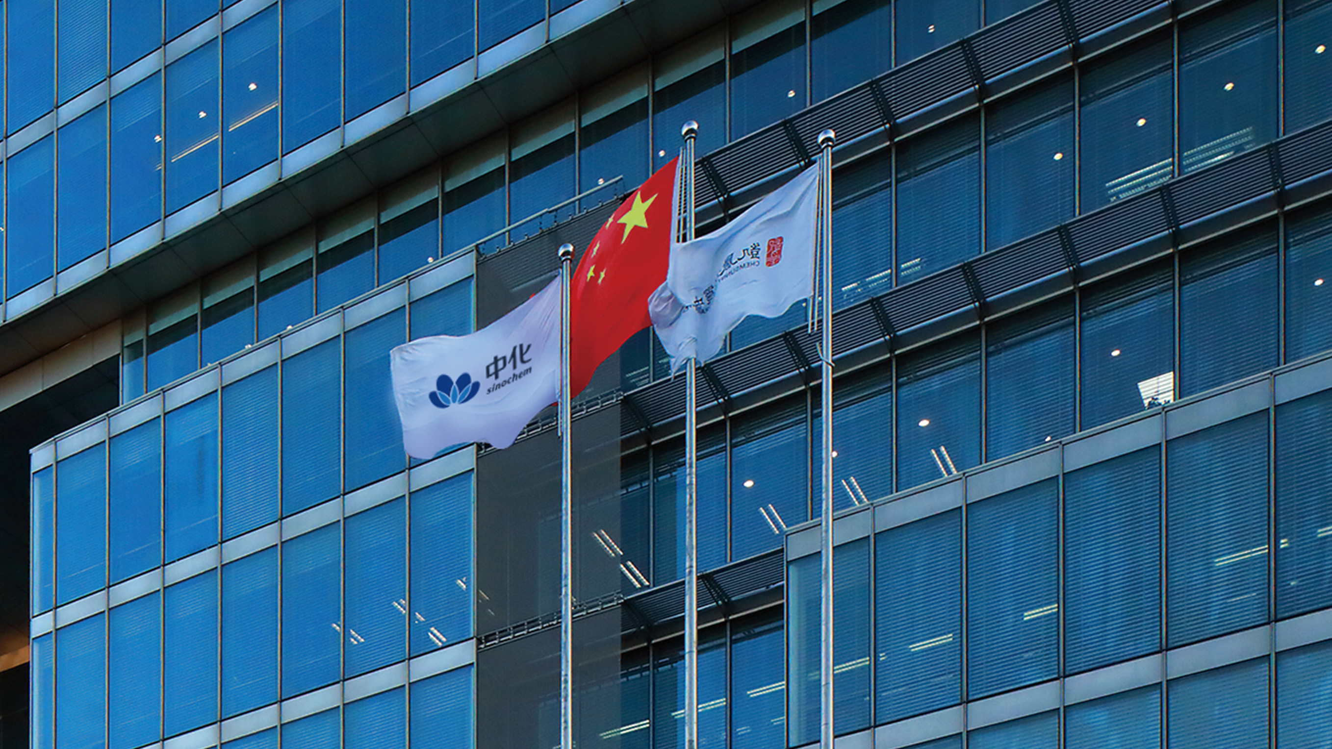 中化LOGO設(shè)計旗子效果