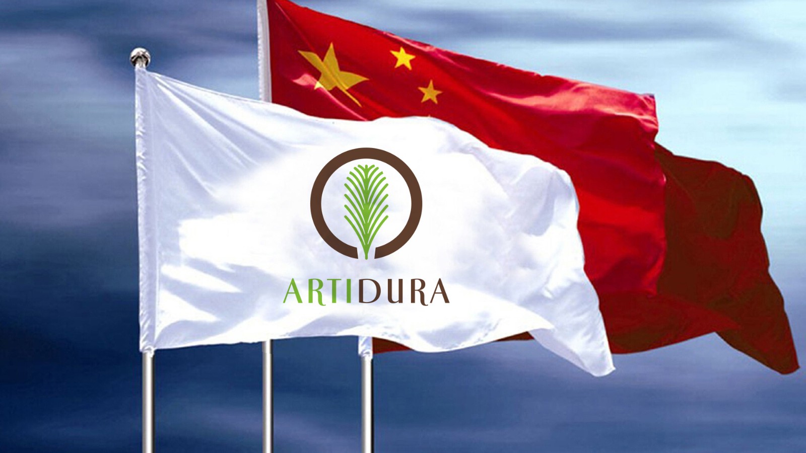 紅杉醫(yī)療科技公司LOGO設(shè)計(jì)