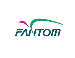 FANTOM航空服務(wù)公司LOGO設(shè)計