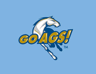 GOAGS馬戲團LOGO設(shè)計