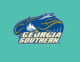 GEURGIASOUTHERN信息調(diào)查公司LOGO設(shè)計(jì)