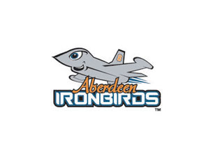 IRONBIRDS飛行愛好者LOGO