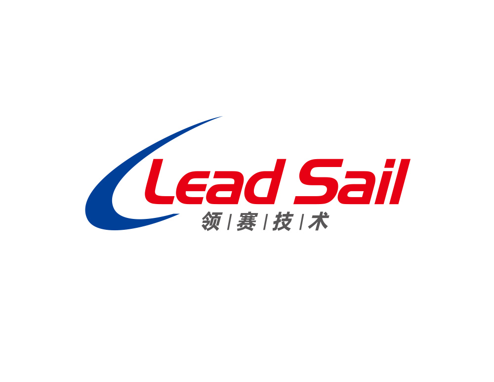天津領(lǐng)賽信息技術(shù)公司LOGO設(shè)計(jì)